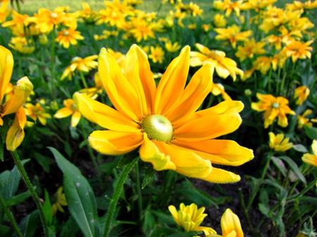 2011-9-28滝野すずらん公園 109.jpg